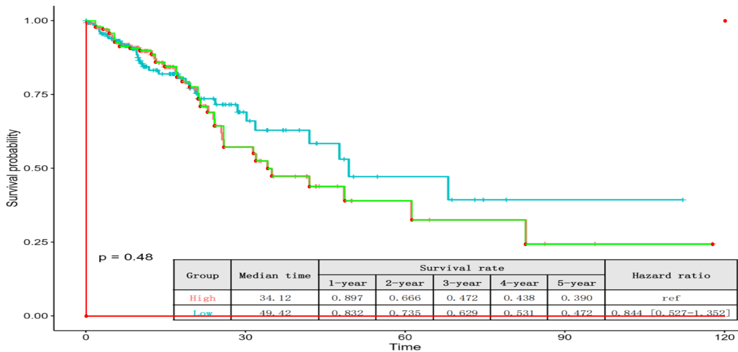 image-20250116092131514